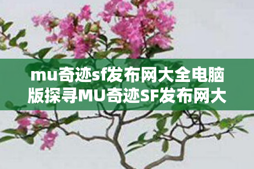 mu奇迹sf发布网大全电脑版探寻MU奇迹SF发布网大全图片