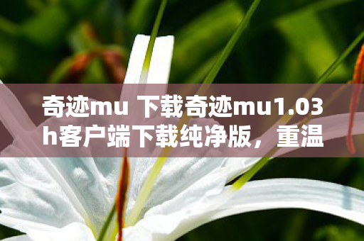 奇迹mu 下载奇迹mu1图片