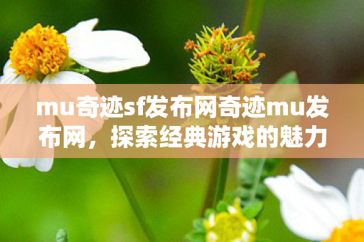 mu奇迹sf发布网奇迹mu发布网图片