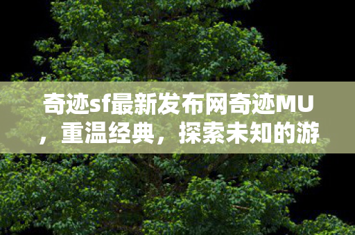 奇迹sf最新发布网奇迹MU图片