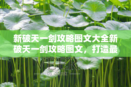 新破天一剑攻略图文大全新破天一剑攻略图文,打造最强角色的全面指南,新破天一剑攻略图文大全,打造最强角色的全面指南 新破天一剑攻略图文大全新破天一剑攻略图文,打造最强角色的全面指南,新破天一剑攻略图文大全,打造最强角色的全面指南