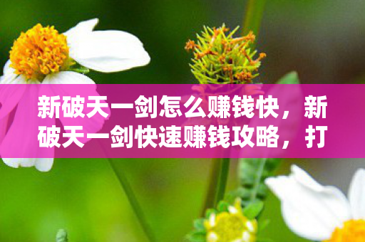 新破天一剑怎么赚钱快,新破天一剑快速赚钱攻略,打造财富之路! 新破天一剑怎么赚钱快,新破天一剑快速赚钱攻略,打造财富之路!