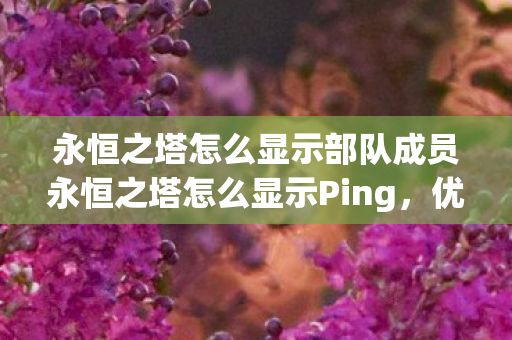 永恒之塔怎么显示部队成员永恒之塔怎么显示Ping图片
