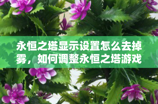 如何调整永恒之塔游戏设置以去除画面雾效图片
