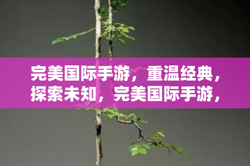 完美国际手游图片