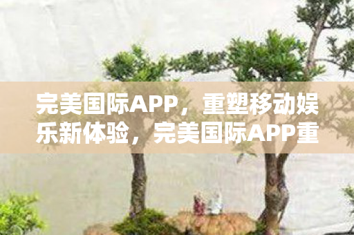 完美国际APP重塑移动娱乐新体验图片