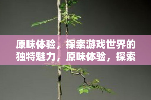 探索游戏世界的独特魅力图片