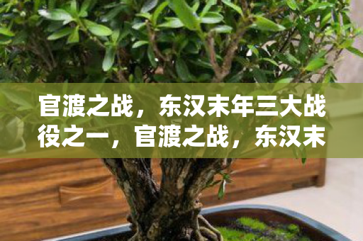 东汉末年三大战役之一图片