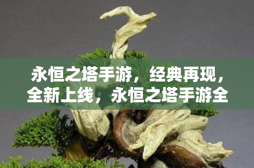 永恒之塔手游全新上线图片