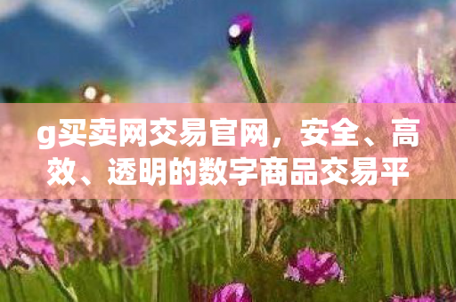 透明的数字商品交易首选平台图片