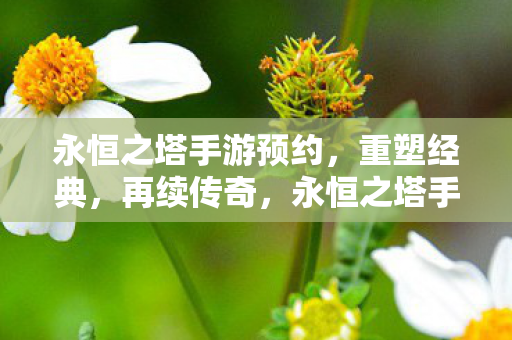 永恒之塔手游预约开启图片