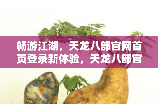天龙八部官网首页登录新体验图片