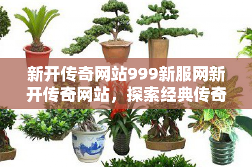 新开传奇网站999新服网新开传奇网站图片