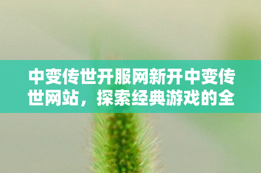 中变传世开服网新开中变传世网站图片