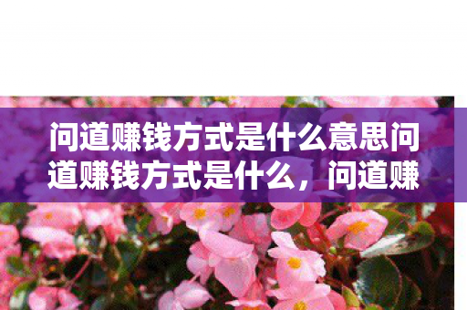 问道赚钱方式是什么意思问道赚钱方式是什么,问道赚钱方式详解,如何赚取财富? 问道赚钱方式是什么意思问道赚钱方式是什么,问道赚钱方式详解,如何赚取财富?