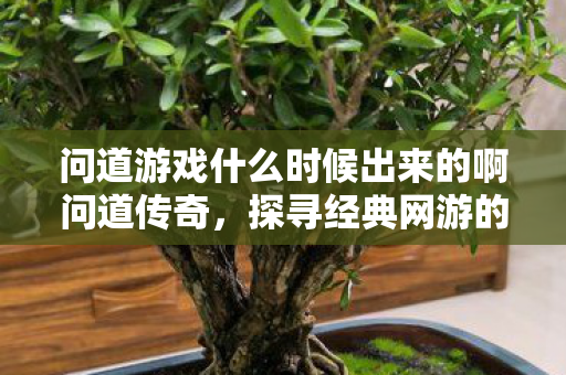 问道游戏什么时候出来的啊问道传奇,探寻经典网游的诞生时刻,探寻经典网游问道传奇的诞生时刻 问道游戏什么时候出来的啊问道传奇,探寻经典网游的诞生时刻,探寻经典网游问道传奇的诞生时刻