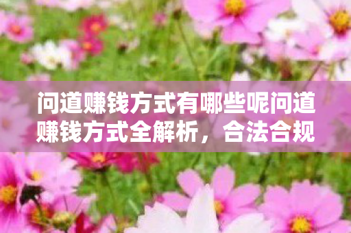 问道赚钱方式有哪些呢问道赚钱方式全解析,合法合规的财富之道,问道赚钱方式全解析,探索合法合规的财富之道 问道赚钱方式有哪些呢问道赚钱方式全解析,合法合规的财富之道,问道赚钱方式全解析,探索合法合规的财富之道