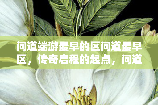 问道端游最早的区问道最早区,传奇启程的起点,问道端游最早区,传奇启程的起点 问道端游最早的区问道最早区,传奇启程的起点,问道端游最早区,传奇启程的起点