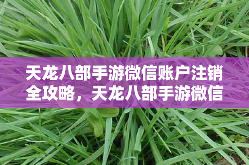 天龙八部手游微信账户注销全攻略图片