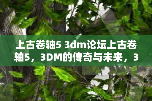 上古卷轴5 3dm论坛上古卷轴5图片