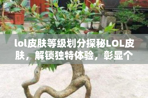 lol皮肤等级划分探秘LOL皮肤图片