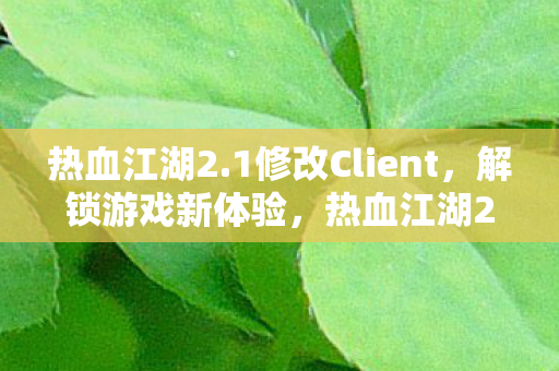 热血江湖2.1修改Client,解锁游戏新体验,热血江湖2.1修改Client解锁游戏新体验 热血江湖2.1修改Client,解锁游戏新体验,热血江湖2.1修改Client解锁游戏新体验