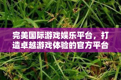 打造卓越游戏体验的官方平台图片