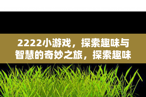 2222小游戏，探索趣味与智慧的奇妙之旅，探索趣味与智慧的奇妙之旅，2222小游戏