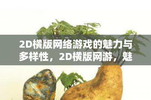 2D横版网络游戏的魅力与多样性,2D横版网游,魅力与多样性并存 2D横版网络游戏的魅力与多样性,2D横版网游,魅力与多样性并存