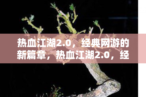 热血江湖2.0,经典网游的新篇章,热血江湖2.0,经典网游新篇章开启 热血江湖2.0,经典网游的新篇章,热血江湖2.0,经典网游新篇章开启