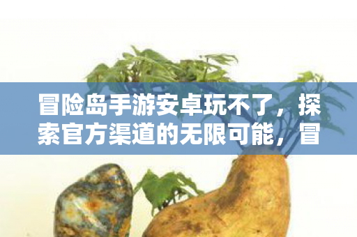 冒险岛手游安卓玩不了,探索官方渠道的无限可能,冒险岛手游安卓无法运行,官方渠道解锁新可能 冒险岛手游安卓玩不了,探索官方渠道的无限可能,冒险岛手游安卓无法运行,官方渠道解锁新可能