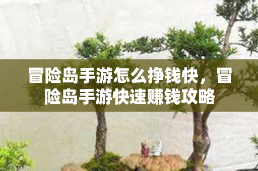 冒险岛手游怎么挣钱快，冒险岛手游快速赚钱攻略