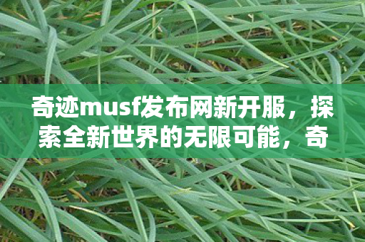 奇迹musf发布网新开服图片