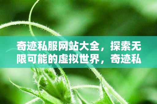 探索无限可能的虚拟世界图片