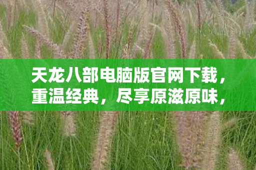 天龙八部电脑版官网下载图片