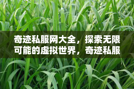 探索无限可能的虚拟世界图片