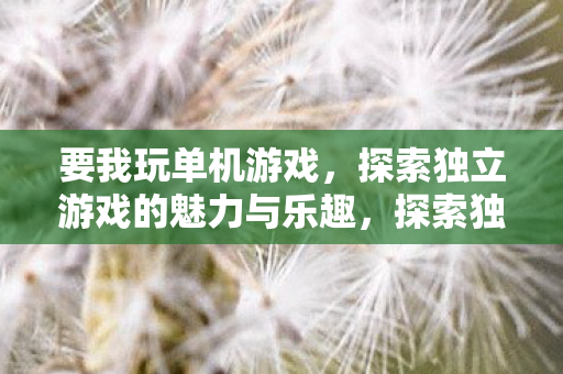 探索独立游戏的魅力与乐趣图片