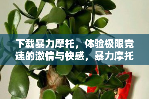 极限竞速的激情与快感等你来体验图片