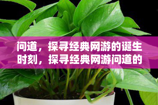 问道,探寻经典网游的诞生时刻,探寻经典网游问道的诞生时刻 问道,探寻经典网游的诞生时刻,探寻经典网游问道的诞生时刻