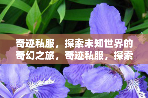 探索未知世界的奇幻之旅图片