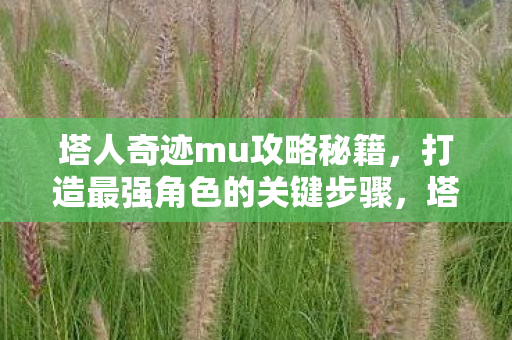 打造最强角色的关键步骤图片
