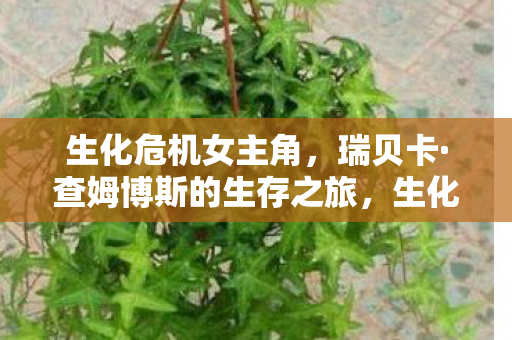 生化危机女主角瑞贝卡图片