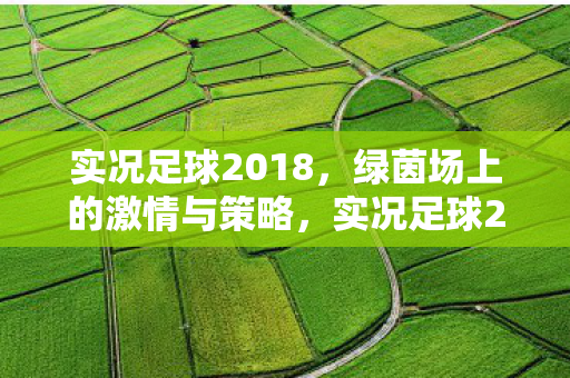 绿茵场上的激情与策略图片
