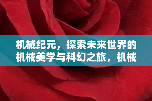 探索未来世界的机械美学与科幻之旅图片