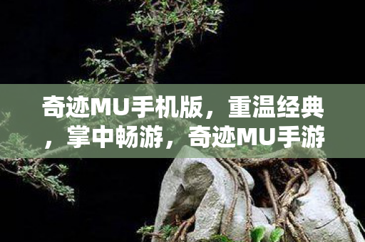 奇迹MU手机版图片