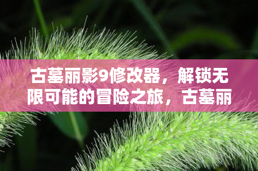解锁无限可能的冒险之旅图片