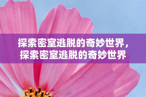 探索密室逃脱的奇妙世界图片