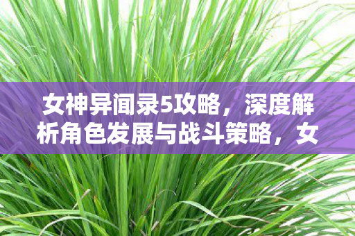 女神异闻录5角色发展与战斗策略深度解析图片