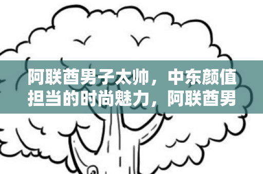 中东颜值担当的时尚魅力图片