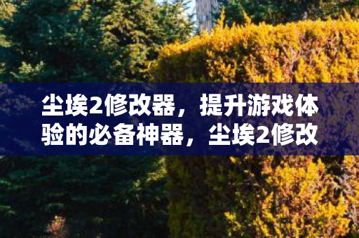 提升游戏体验的必备神器图片